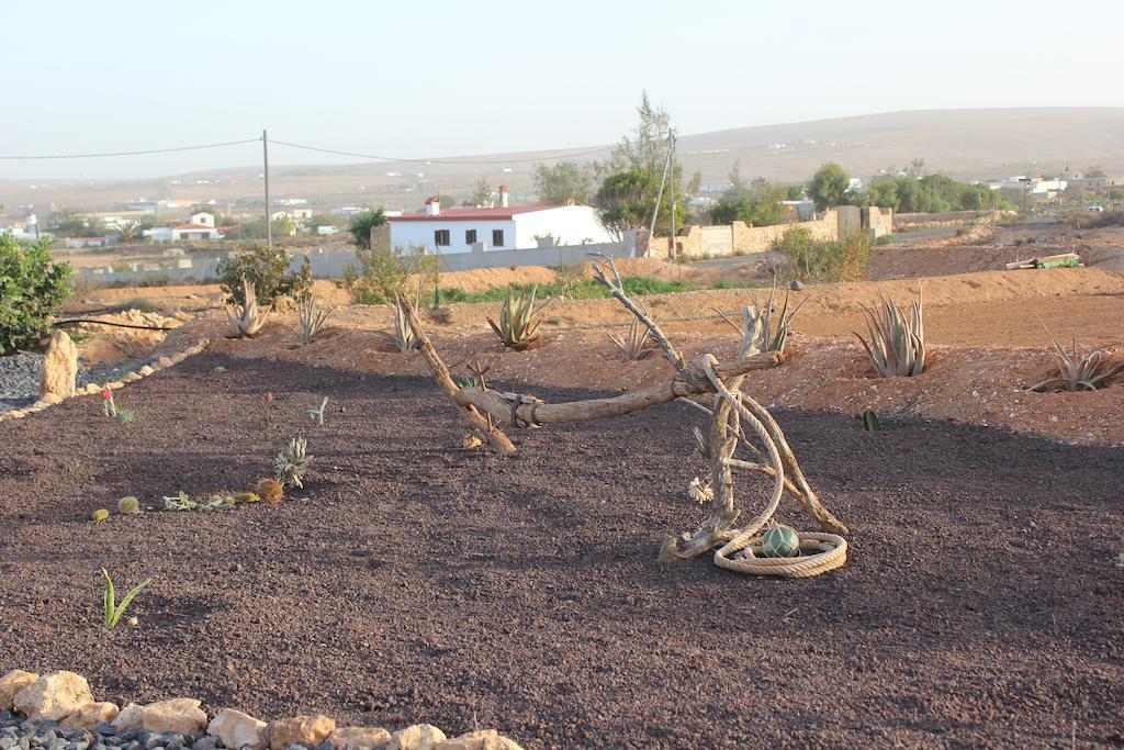 Llanos de la Concepción Casa Abuelo Rafael 게스트하우스 객실 사진